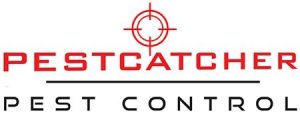 Pestcatcher Pest Control Swindon, are you looking for pest control in Swindon, Wiltshire, Gloucestershire, and Oxfordshire? You have come to the right place for all your Pest Control Needs.