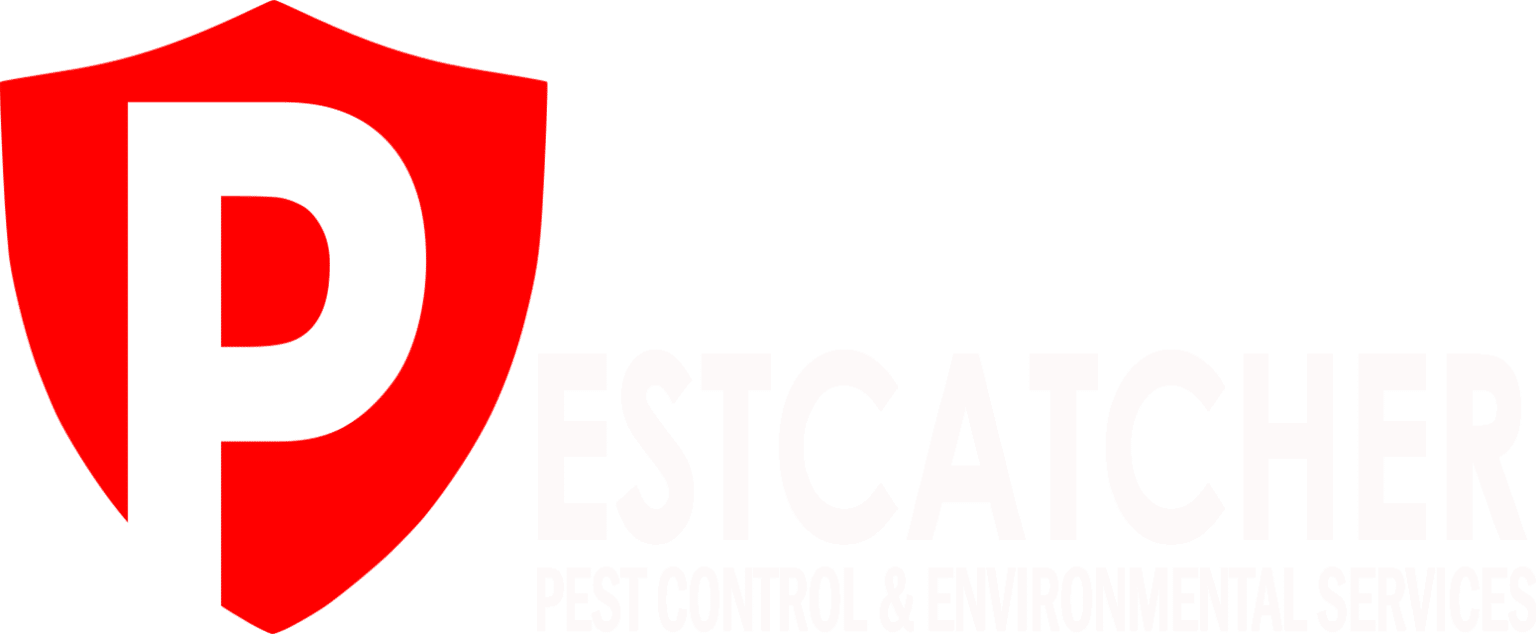 Pest Control Swindon Local Pest Removal