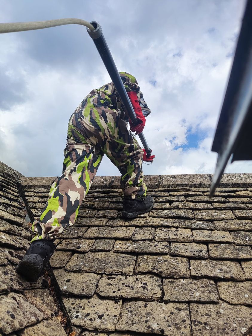 Effective Pest Control Swindon Local Pest Removal in Wiltshire